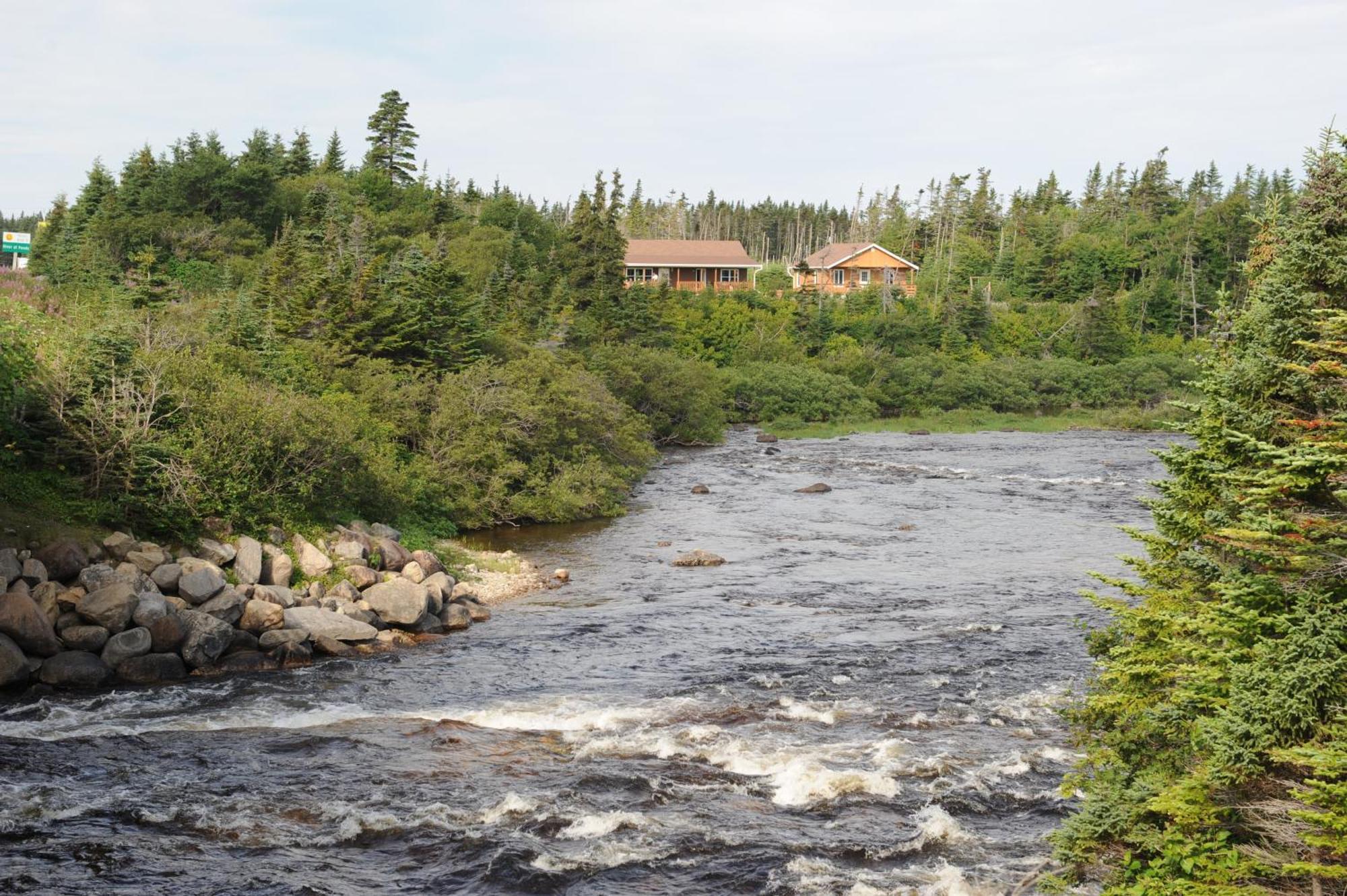 Riverside Chalets River of Ponds Esterno foto
